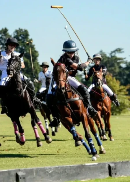 Polo match action with riders galloping