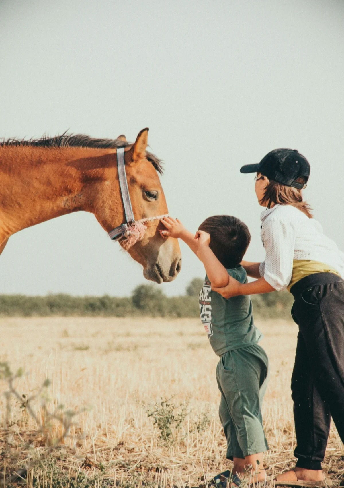 Two children meeting a brown horse in a sunlit pasture