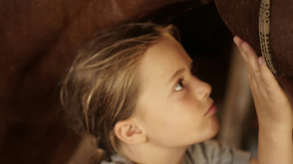 A child resting her hand against a horse