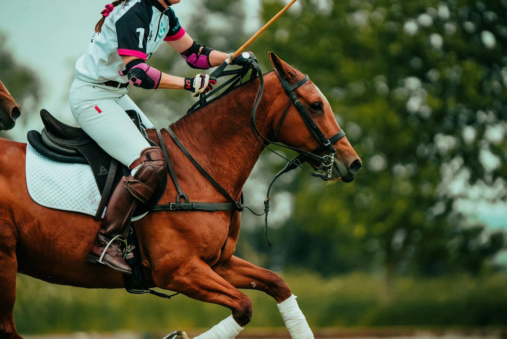 Tennyson Hamir mid-stride on a bay polo horse
